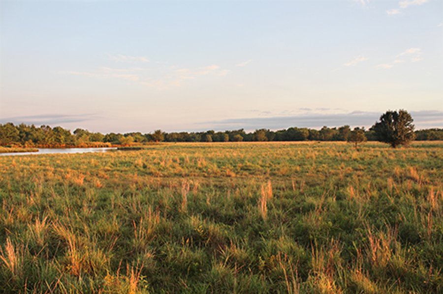 LAND AUCTION - 440+/- Acres offered in 15 Tracts in Tulsa County